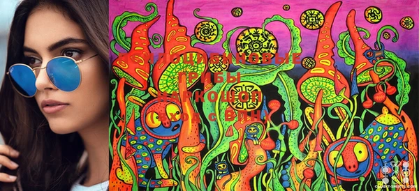 ECSTASY Семикаракорск