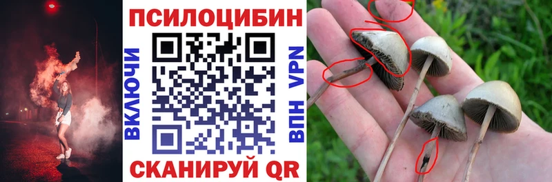 Псилоцибиновые грибы GOLDEN TEACHER  купить наркотики сайты  Заинск 