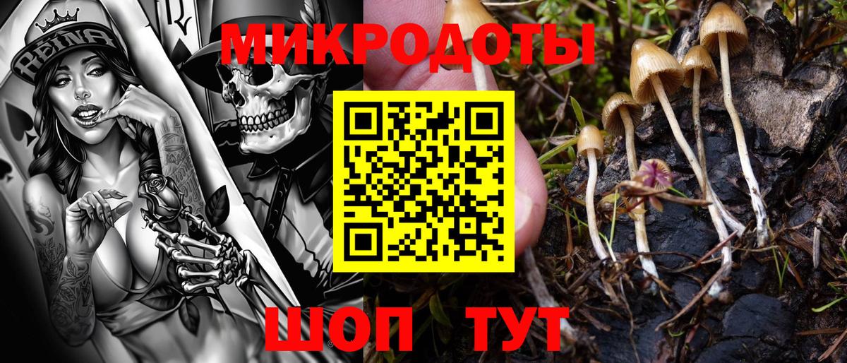 Заинск  Галлюциногенные грибы Cubensis  Вход с VPN  Галлюциногенные грибы ЛСД 