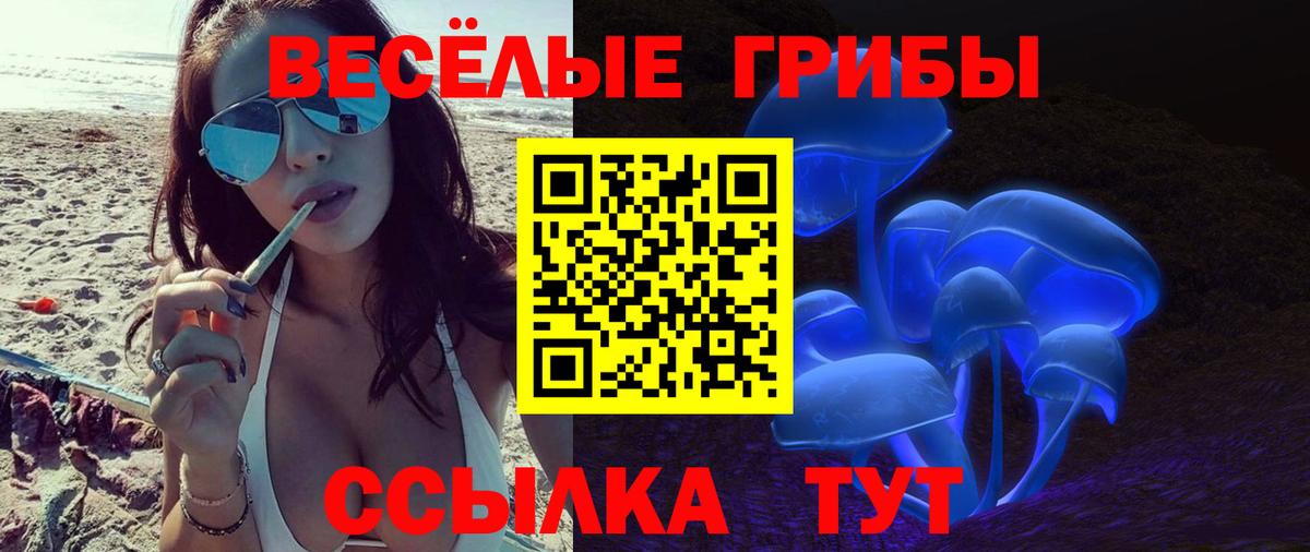 Псилоцибиновые грибы GOLDEN TEACHER Заинск