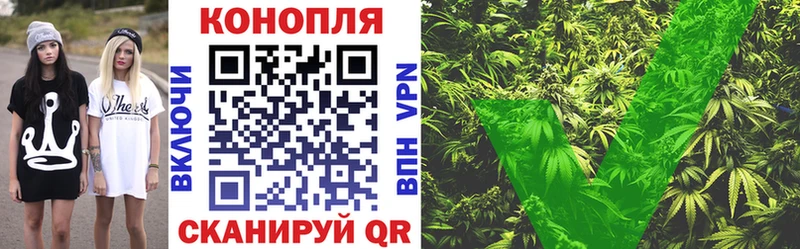 наркошоп  Заинск  Бошки марихуана гибрид 